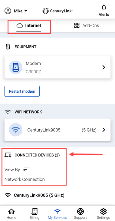 screenshot from app showing connected devices on the Internet services screen
