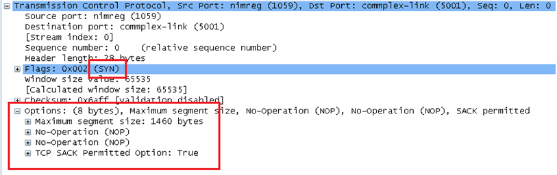 tcp syn packet without window scaling